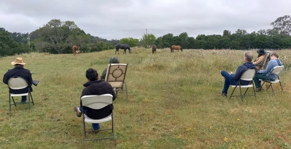 herd observation pmr, group