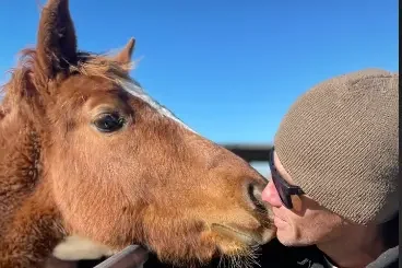 Close-up of a visitor gently touching noses with a horse at Pregnant Mare Rescue, showing trust and the wonder of horses